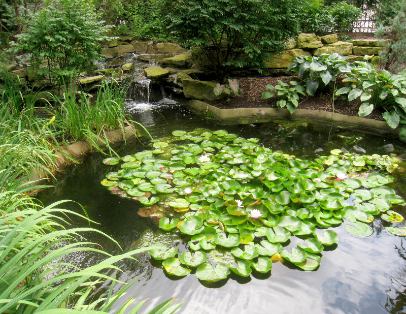 Rodef Shalom Biblical Botanical Garden, United States